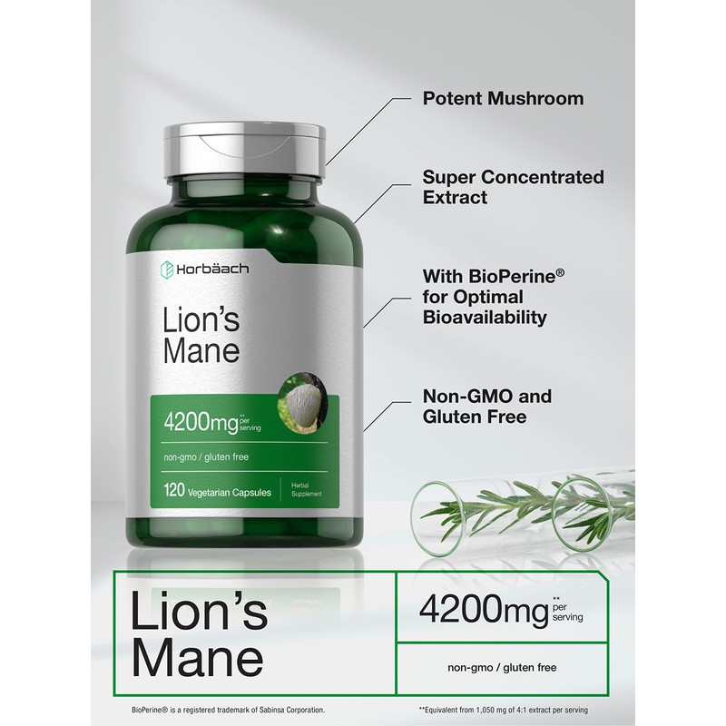 Horbäach Lions Mane Mushroom Extract | 120 Capsules | Vegetarian,