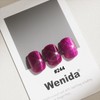 Wenida Cat Eye Gel Nail Polish, Includes Professional Nail Art