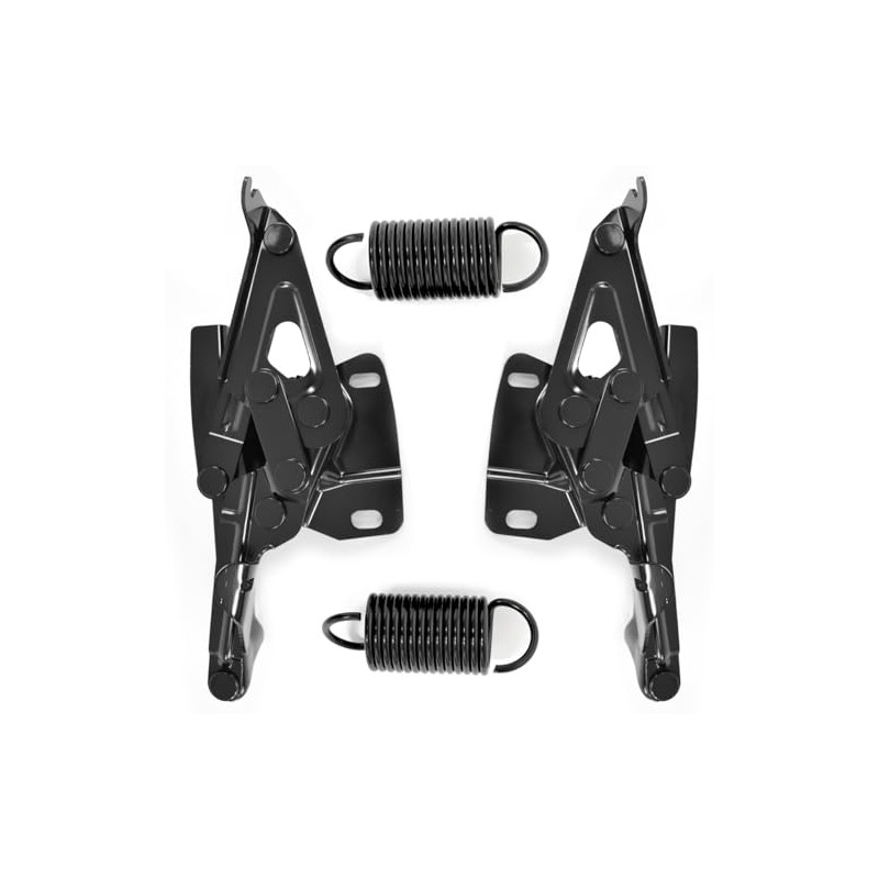Hood Hinge and Spring Kit - Driver and Passenger Side