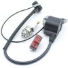 Replace Ignition Coil & On Off Stop Switch & Spark