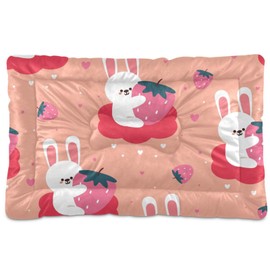 xigua Easter Rabbit Pet Bed, Soft Anti-Slip Dog Cat Bed Pet Mattress for Small Medium Large Dogs and Cats, 24 x 18 Inch