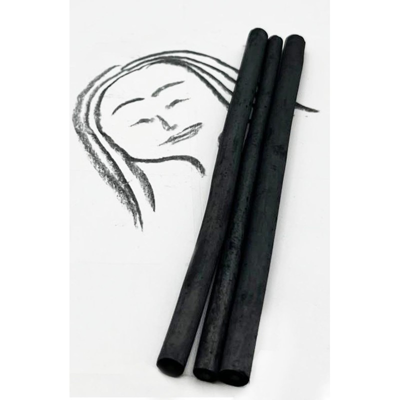 PaulStore 12 Assorted Willow Charcoal Sketch Drawing Natural Charcoal Sticks