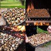 DOJA Barcelona | Iron can for Snails | Dimensions: 22x22