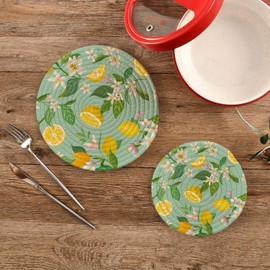 Boccsty Summer LemonTrivets for Hot Pots and Pans Leaves Flower Pot Holders 2PCS Hot Pads Kitchen Pot Holder for Counter Table Countertop Farmhouse