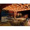 DEWENWILS Outdoor Remote Control Outlet Wireless Remote ChristmasDecor