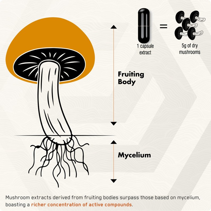 SOLVE Labs® ● Premium Siberian Chaga Extract Powder ● 10%