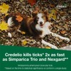 Credelio Tick & Flea Infestation Prevention and Treatment for Dogs