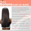 Difeel Batana - Aceite para el Cabello Pr?mium de 2.5
