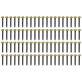 cyclingcolors 100 x Picture Nails, Steel Nails with Brass Head, Decorative Furniture, Picture Frame, Painting, Photography, Wall Renovation, 2 x 25 mm