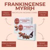 Frankincense Myrrh Backflow Incense Cones - Total 20 Incense Cones