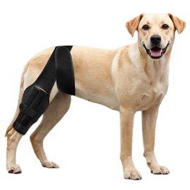 NIUBNKJ Dog Knee Brace for ACL Tear Adjustable ACL Knee Brace for Dogs Front or Rear Leg, Hip Dysplasia, Arthritis, Ligament Injuries Leg Support Brace for Canine Recovery (M)