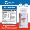 Cerule Plasmaflo Blood Flow Supplement to Support Bloods Circulation in