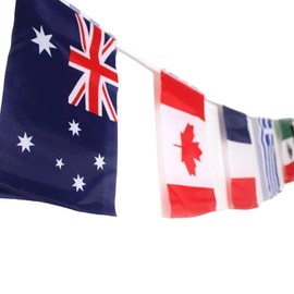 World Countries Bunting Flag, 3.6m/11.8ft Length, International Hanging String Decoration for Olympics, Around the World Parties, Multicultural Events, Sporting, School events, 20x30cm Flag Size