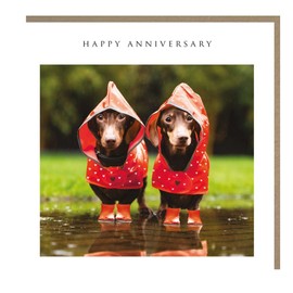 General Anniversary Card - Dachshunds in the Rain - Comical Dog Design - Made in the UK - Eco-Friendly