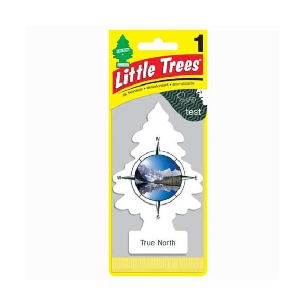 Little Trees Air Fresheners, True North (Pack of 12)