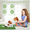 STARROAD-TIM 30 x 20 inches 2 Pack Fake Grass Pee
