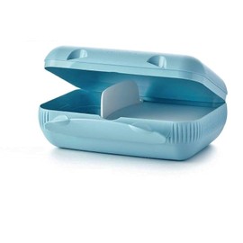 Tupperware To Go Lunch Box with Divider