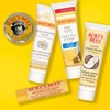 Burt's Bees Gifts Ideas - Essential Everyday Beauty Set, 5