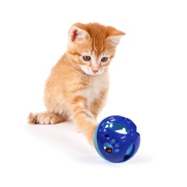 Pets First CAT TOYS Interactive Toys For Cats. Cat Ball Bell Toy|Electric Smart Spinning Feather Cat Toy|Punching Ball Scratching Cat Board| Cat Scratcher Spinning Mouse Toy Exercise for Cats/Kitten