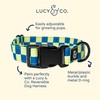 Lucy & Co. Have a Nice Day Dog Collar -