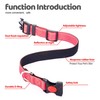 Reflective Nylon Dog Collar with Safety Buckle, Adjustable Pet Collars