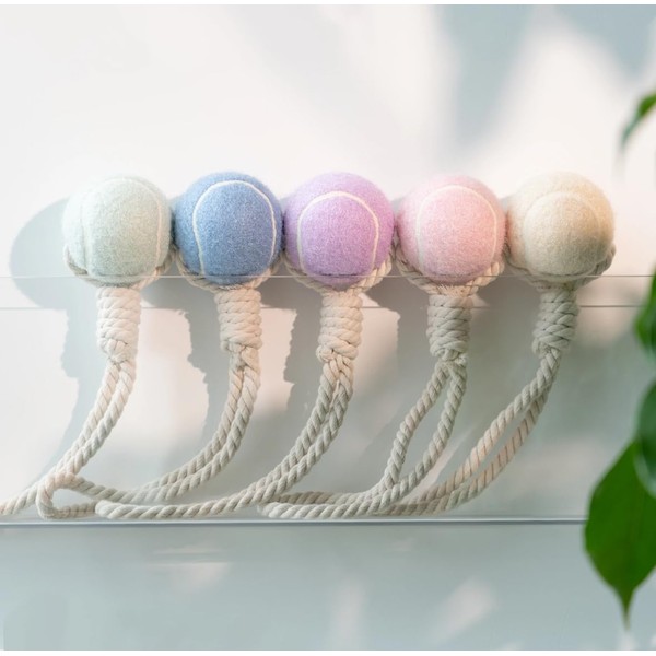 Wauzebacke Dog Toy, Tennis Ball with Rope 32 cm in