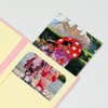 Photo Mount/Five Three 753 Pocket Mat "Celebration,/Five Three/Princess 鞠" 2l