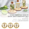 MAYJAM Essential Oil Eucalyptus Aroma Oil 100% Natural Essential Oil