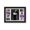 AllStarMedia Charli XCX Merchandise - Collectible Fan Memorabilia, Autographed, and