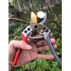 Horsvill Pruning Shears, Plant Shears, Flower Shears Made in Japan,