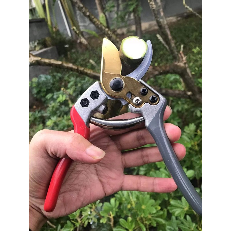 Horsvill Pruning Shears, Plant Shears, Flower Shears Made in Japan,
