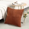 Fancy Homi 2 Packs Rust Big Decorative Throw Pillow Covers