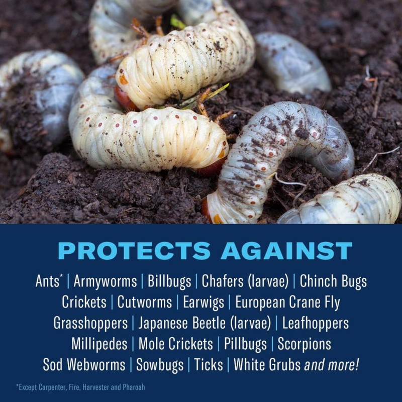 BioAdvanced 24-Hour Grub Plus Insect Killer Outdoor for Lawns, Ant,