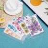 PATIKIL Dried Pressed Flowers, Natural Dried Flower Leave Assorted Real