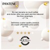 Pantene Ultimate 10 Repair & Protect Shampoo 375ml