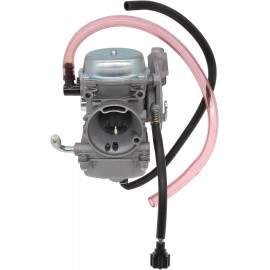 Paul Eagle Auctions Carburetor for Kawasaki KVF300 Prairie 300 KVF300B KVF300A 1991-2002 4X4 4WD