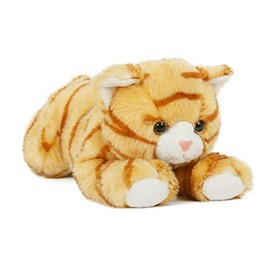 Unbekannt SEMO CTO-10LD01 Cat Red Tabby