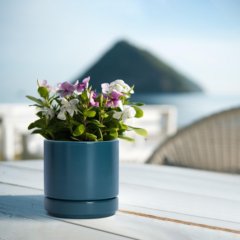 D'vine Dev Set of 2 Plants Pots, 4.7 Inch Ceramic