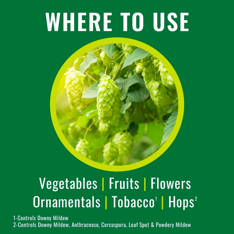 Natria Disease Fungus Control with Copper Fungicide, Ready-to-Use, 24 oz