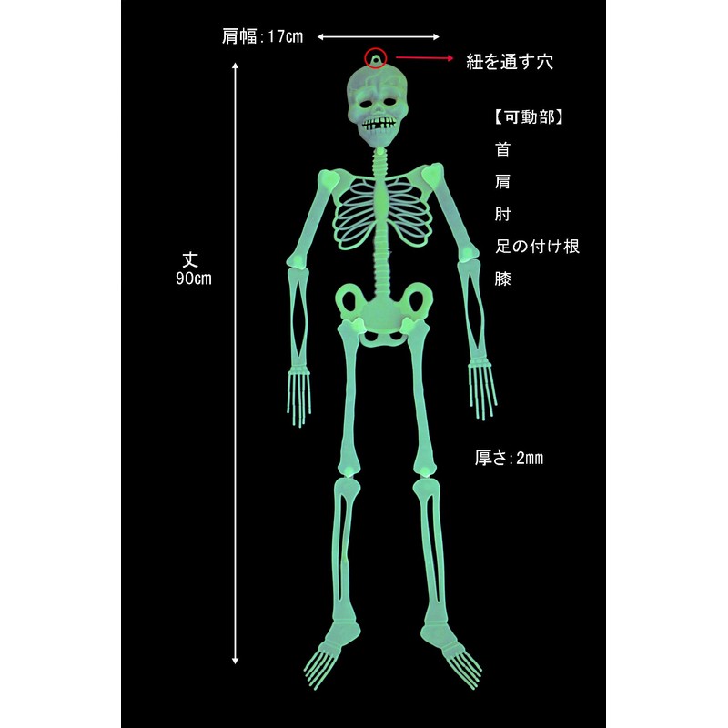 Hosendo Glowing Skull Doll 35.4 inches (90 cm), Set of