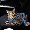 Cat Harness, Cat Harness and Leash for Walking, Escape Proof