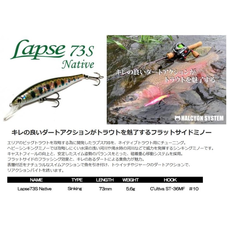 Halcyon System Lapse73S Native 06 BRB