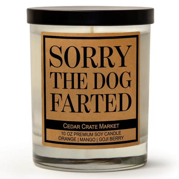 Funny Dog Candles for Dog Lovers, Dog Gifts for Dog Lovers Dog Mom Gifts for Women, Pet Mom, Fur Mamas, Dog Dads, Foster, Rescue, Adoption. Scented, Soy Jar Candle, 10 oz. (Sorry The Dog Farted)