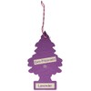 LITTLE TREES Car Air Freshener | Hanging Paper Tree for