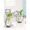 Simple Cat Iron Flower Ware Hydroponic Flower Arrangement Vase