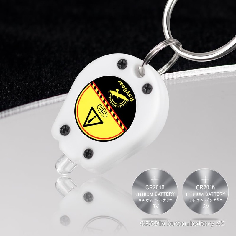 RaySoar 10 Pack Ultra Bright Mini LED Keychain Flashlight, Small