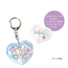 RSK-320 Resin Set Beginners Shaker Molded Heart