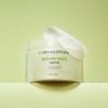 BRINGGREEN Artemisia Calming EX Toner Pad 75P - BRINGGREEN Artemisia