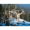 Ceaco Wolves - Wildlife Puzzle