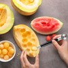 Xrten 4 x Melon Spoon Melon Cutter Stainless Steel Melon